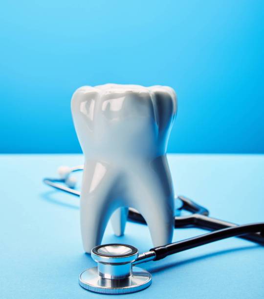 close up view of white tooth model and stethoscope on blue backdrop
